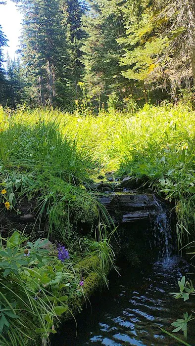 Clover Flats Campground 8