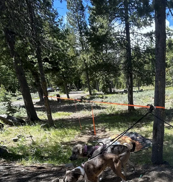 Clover Flats Campground 6