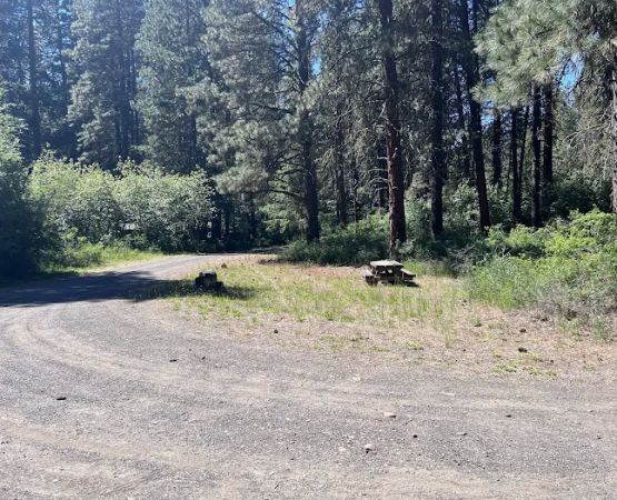 Cottonwood Campground - Naches RD