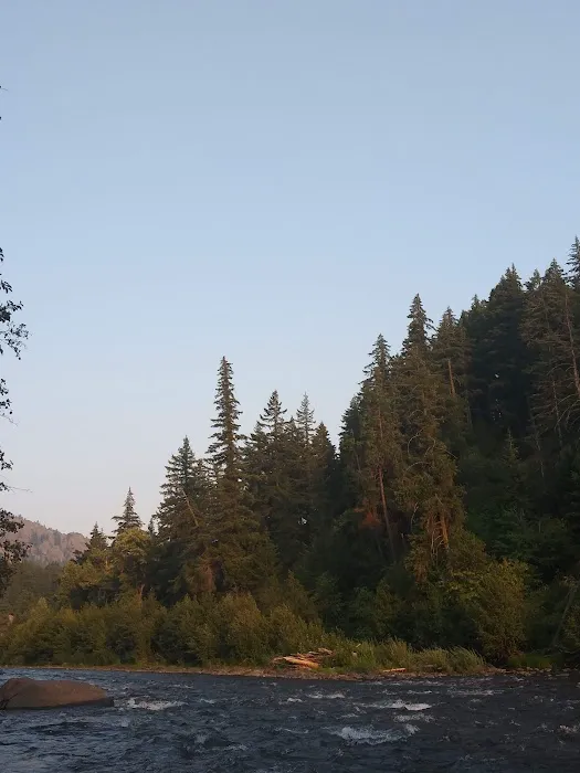 Cottonwood Campground - Naches RD 4