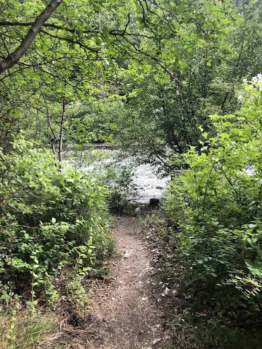 Cottonwood Campground - Naches RD 6