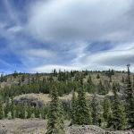 Manastash Campground