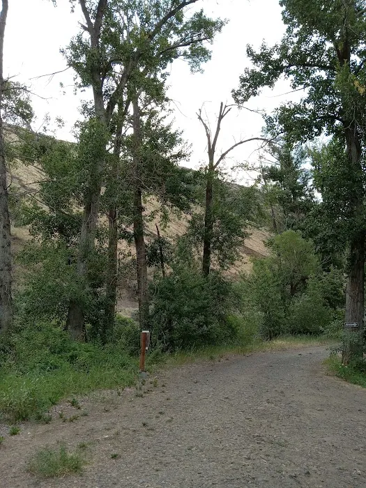 Bighorn Campground 4