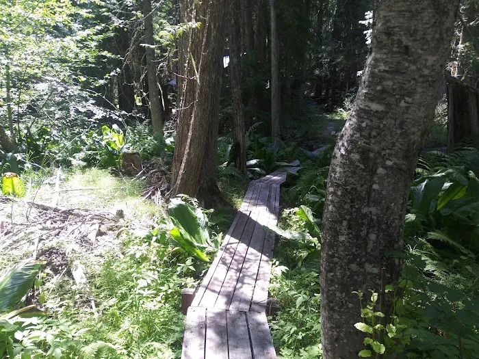 Sawmill Flat Campground 8