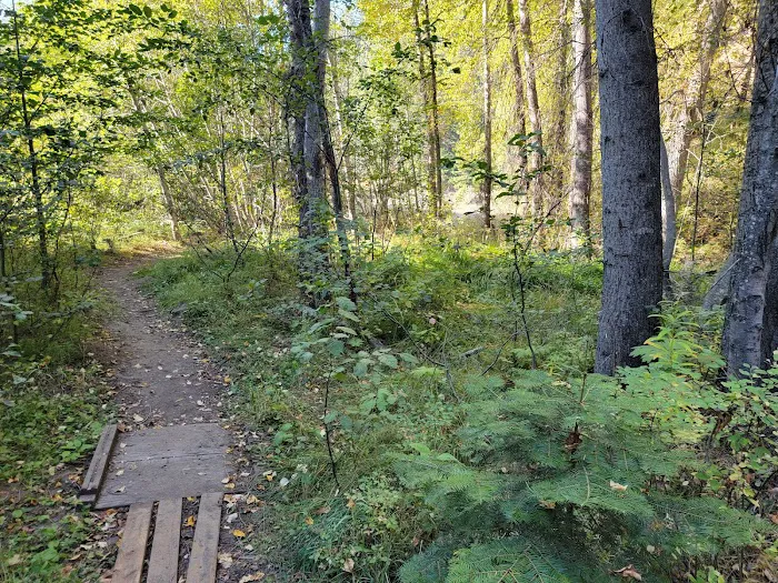 Halfway Flat Campground 6