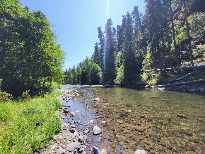 Little Naches Campground 1