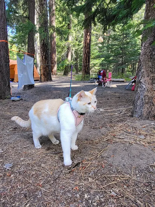 Little Naches Campground 9
