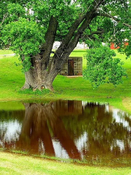 Spring Lake Camp 4