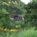 The Point Campground