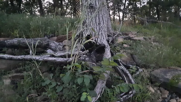 Post Oak Recreation Area 6