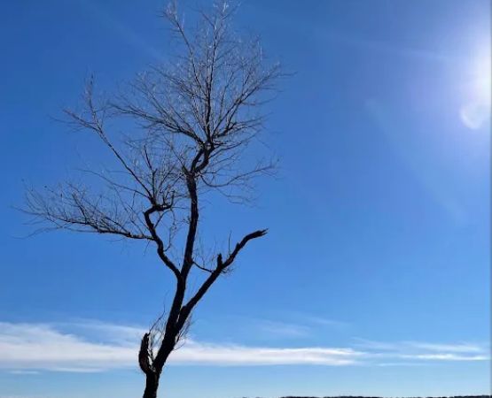 Osage Plains Park Campground