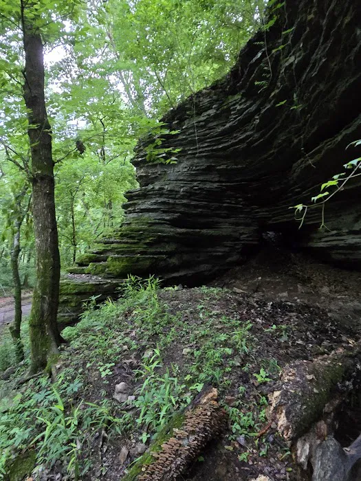 Shultz Creek Campground & Off-road Park 3