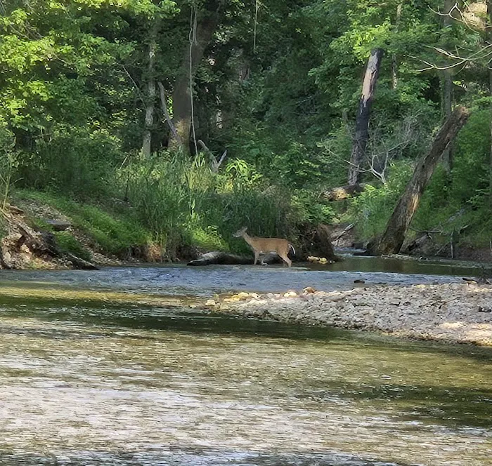Shultz Creek Campground & Off-road Park 7