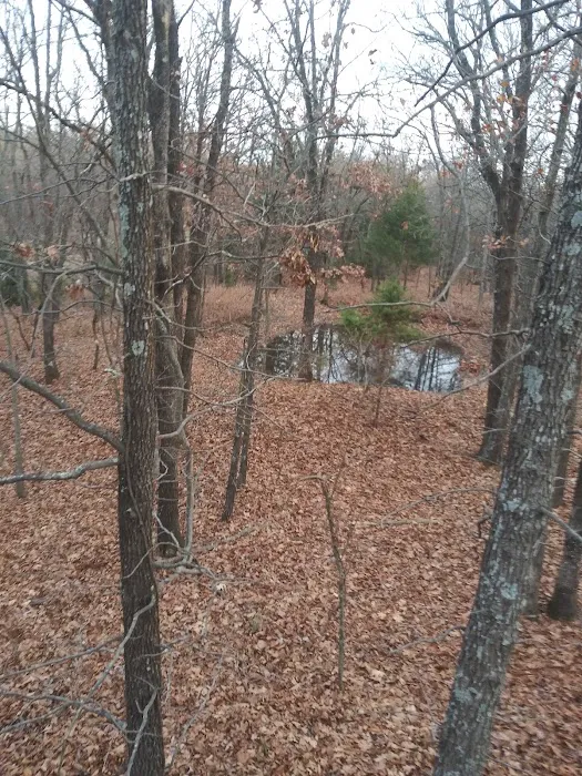 Flat Rock Creek Campground 5