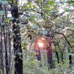 Twin Coves Campground