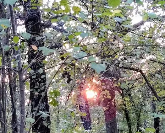 Twin Coves Campground