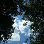 Twin Points Recreation Area