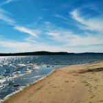 Walnut Creek Park COE