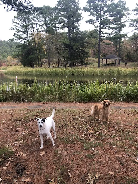 Cedar Lake Recreation Site 5