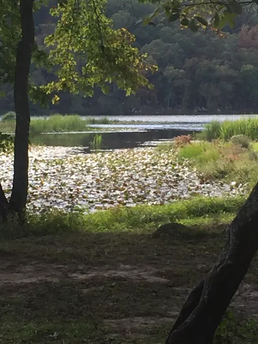 Clayton Lake Campground 1