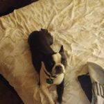 Sequoyah State Park Group Camp