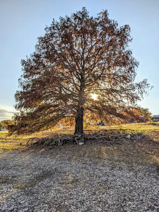 Cherokee Campground 7