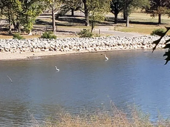 Taylor Ferry South 4