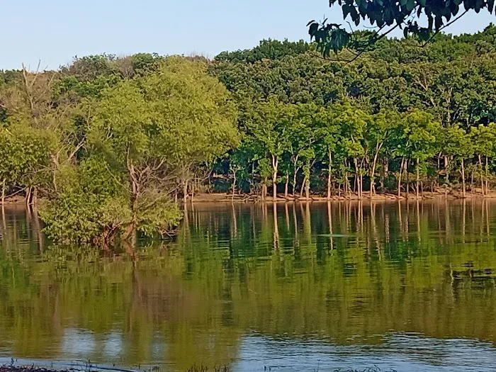 Taylor Ferry South 7