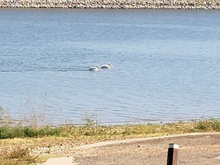 Taylor Ferry South 9