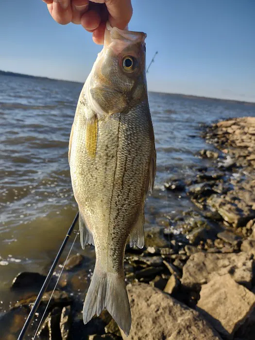 Osage Cove 2