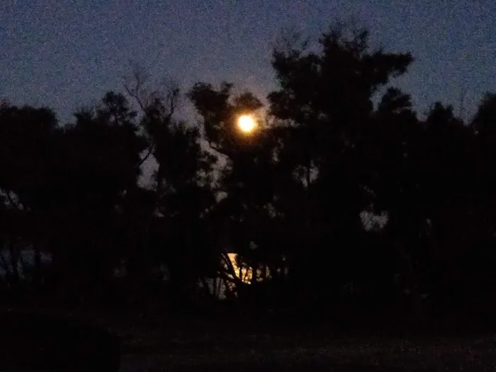 Washunga Campground 5