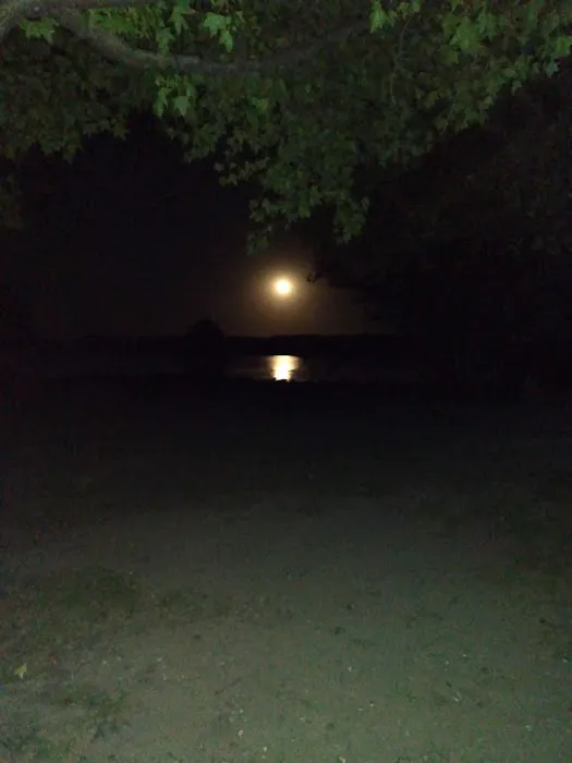 Washunga Campground 6