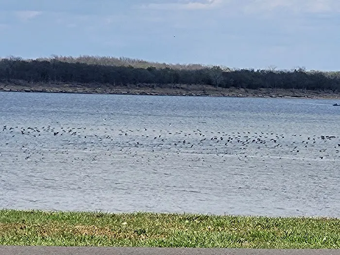 Coon Creek Cove 4