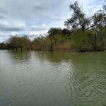Willis Creek Park Group Camping Site