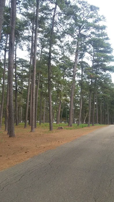 US Forestry Department 9