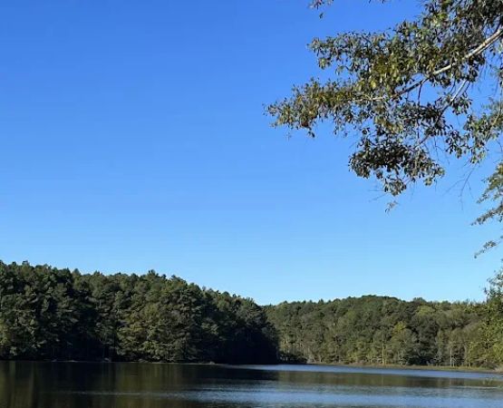 Turkey Creek Park