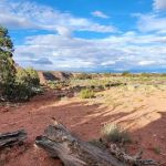 Happy Canyon Campground