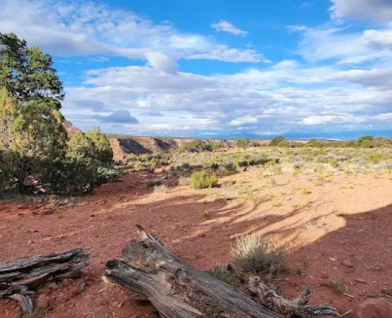 Happy Canyon Campground