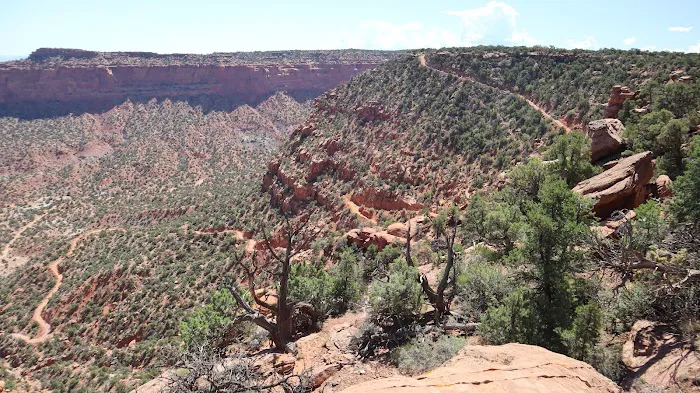 Golden Stairs Campground 9