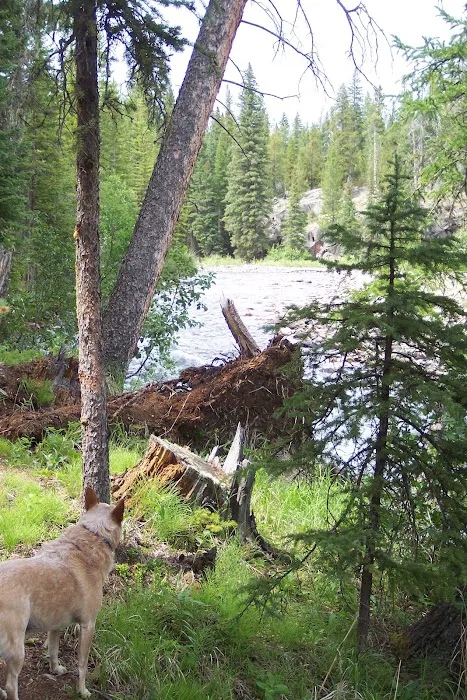 Fox Creek Campground 0