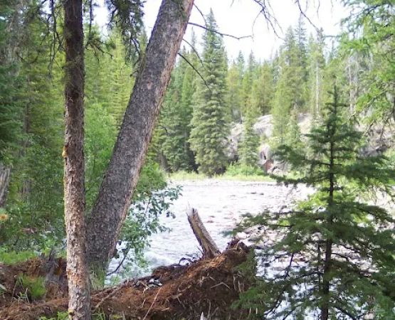 Fox Creek Campground