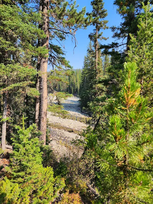 Fox Creek Campground 3