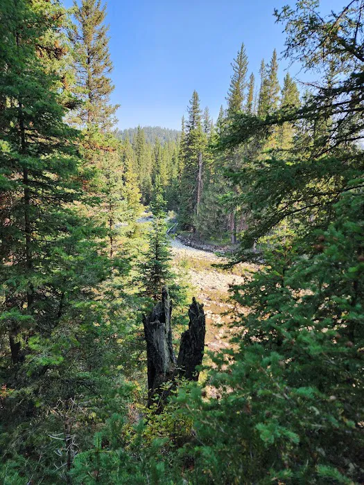 Fox Creek Campground 5