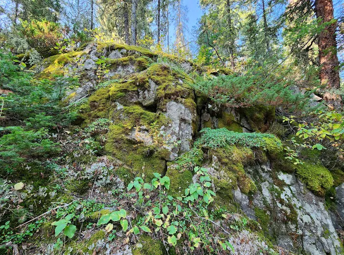 Fox Creek Campground 4