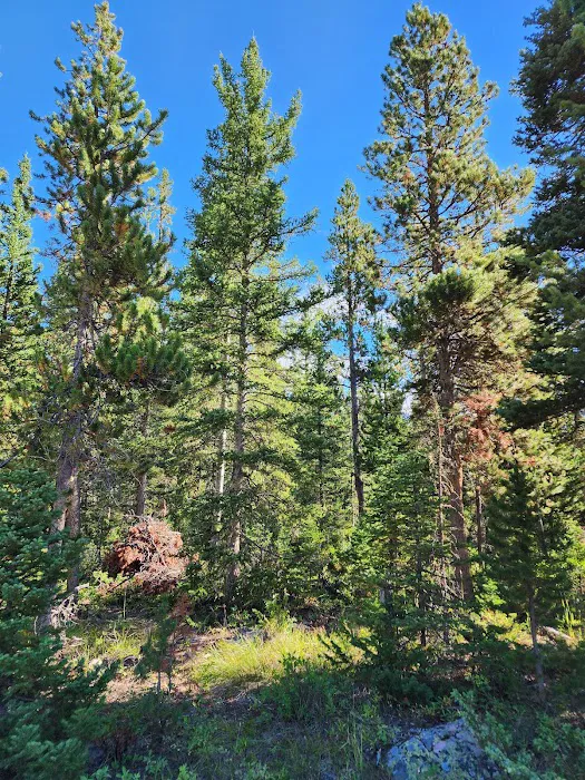 Fox Creek Campground 7
