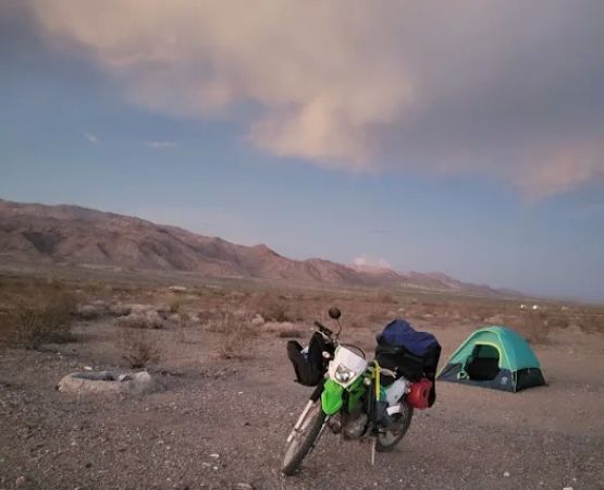 Arty's Camp