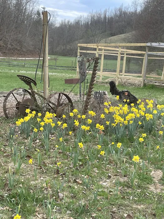 Morning Dew Farm 4
