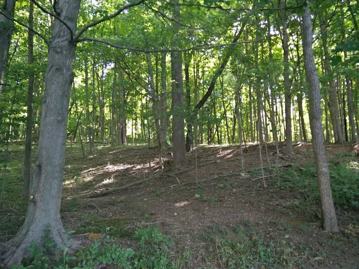 Kiser Lake Campground & Marina 8