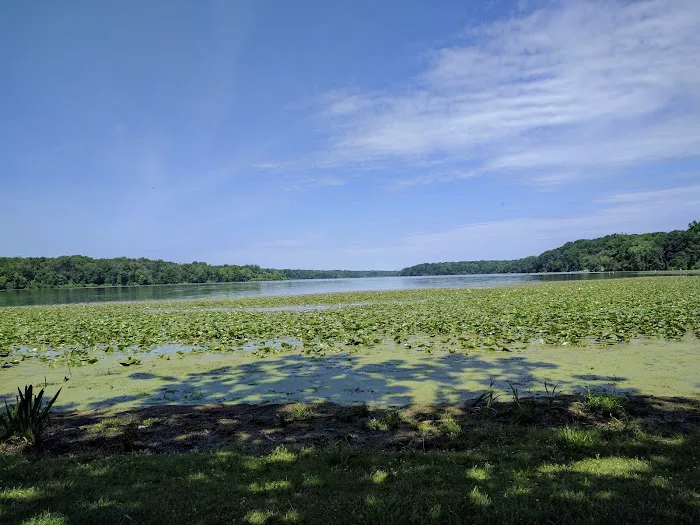 Kiser Lake Campgrounds 4