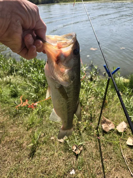 Kiser Lake Campgrounds 9